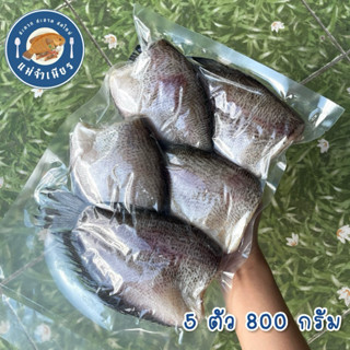 ปลาสลิดแดดเดียว 800 กรัม (ไม่เค็มมาก)