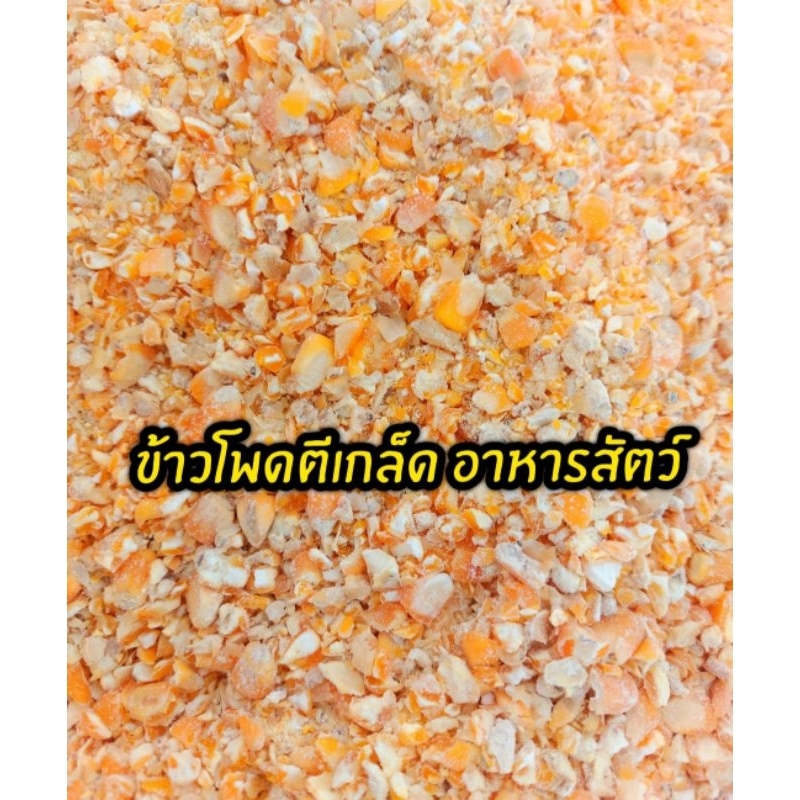 #ข้าวโพดอาหารสัตว์ #ข้าวโพดบด #ข้าวโพดตีเกล็ด #ข้าวโพดไก่ชน #ข้าวโพดไก่ไข่ ขนาด 1 กก.