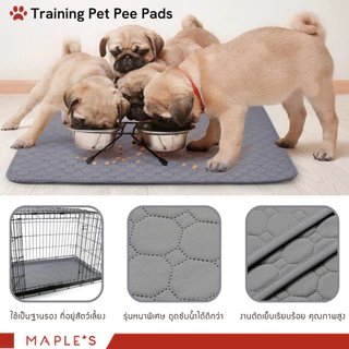 MAPLE'S แผ่นรองฉี่สัตว์เลี้ยง Pet Pee Pad ซักใช้ซ้ำได้ ผ้าซับฉี่ ผ้ารองฉี่หมา คลุมเบาะ แผ่นเจลเย็น