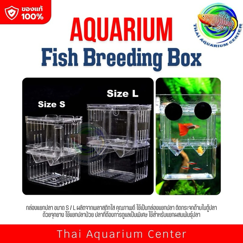 กล่องแยกปลา ขนาด S / L  Isolation BOX