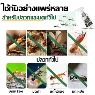 ฆ่าปลวก 10,000 ตัวใน 3 วินาที โดนพิษ1ตัว ตายทั้งรัง น้ำยาฉีดปลวก 500ML ยาฆ่าปลวก กำจัดปลวก 50ปีไม่มีปลวก ยาฉีดปลวกบ้าน