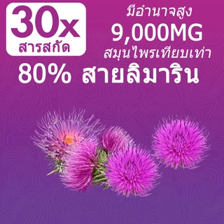 ISNIH Milk Thistle Capsule แคปซูลมิลค์ทิสเซิลช่วยบำรุงการทำงานของตับให้แข็งแรง อาหารเสริมมิลค์ทิสเซิลทำความสะอาดตับ