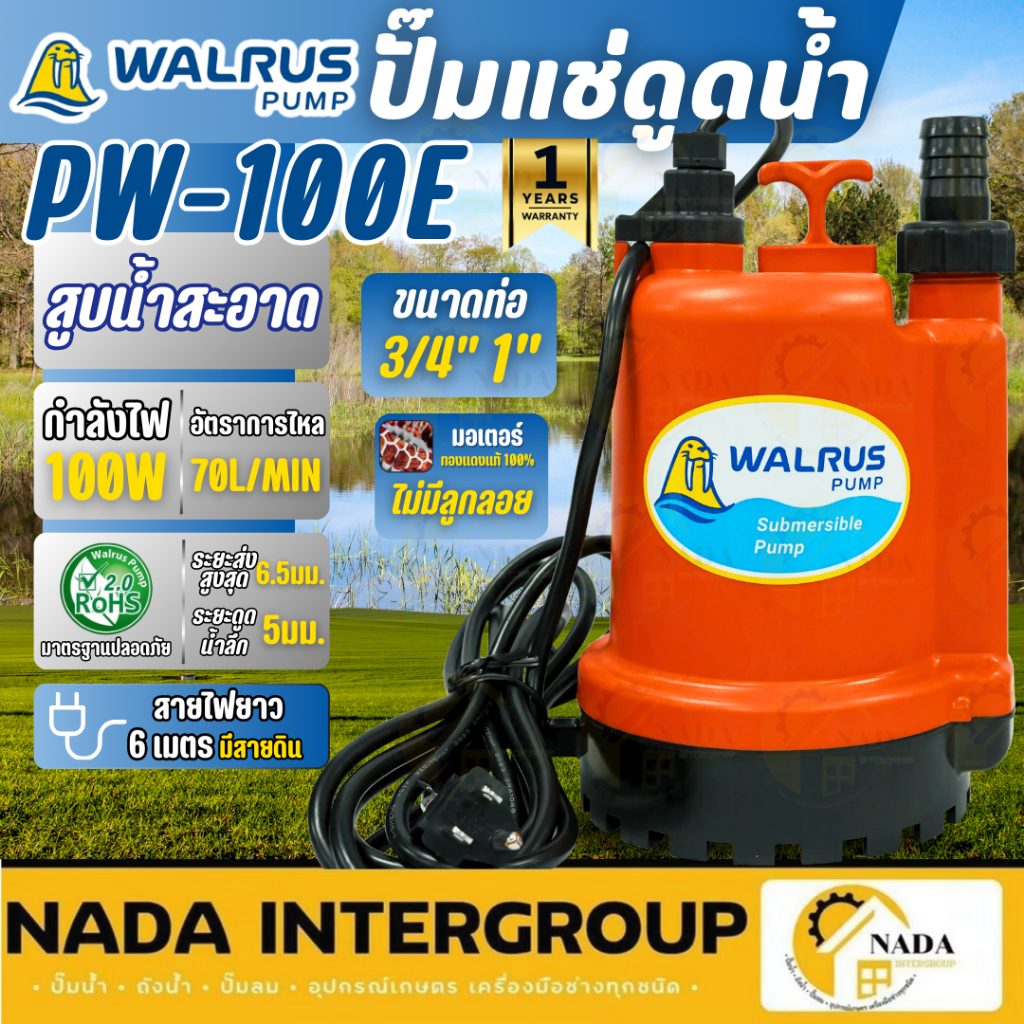 🎉แท้ ส่งไว🎉WALRUS ไดโว่ ปั๊มแช่ 1 นิ้ว รุ่น PW100E กำลัง 100วัตต์ สำหรับน้ำทั่วไป ปั้ม ปั๊มน้ำ PW-10