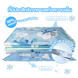 Petcho Pet Cool Mat แผ่นเจลเย็น ที่นอนเย็น แผ่นเย็นแมว เบาะเย็นแมว เจลเย็นหมา แผ่นเย็นหมา ที่นอนแมว ที่นอนหมา