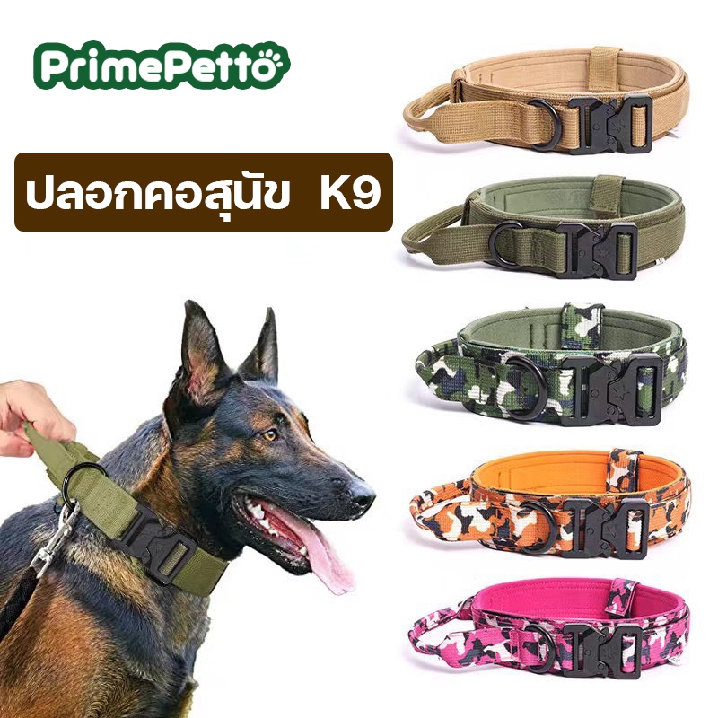 ปลอกคอสุนัขฝึก ตัวล็อคแบบนิรภัย ปลอกคอสุนัขขนาดใหญ่ วัสดุไนล่อนแข็งแรง สายปรับเข้าออกได้ ใช้ฝึกได้ดี