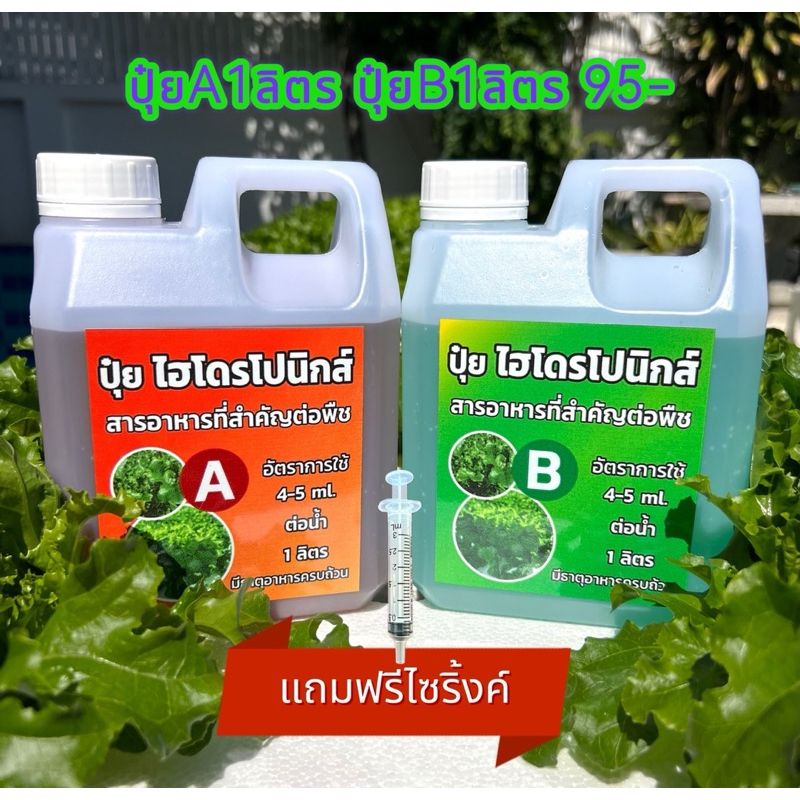 ปุ๋ยab ปุ๋ยไฮโดรโปนิกส์