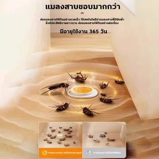 💥ใช้1เม็ด ได้ผลนาน5ปี💥ไล่แมลงสาบ ยาแมลงสาบ ฆ่าแมลงสาบ 8ชิ้น เหยื่อล่อเพื่อล่อให้มันมากิน การเสียชีวิตจากการติดเชื้อ
