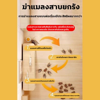 💥ใช้1เม็ด ได้ผลนาน5ปี💥ไล่แมลงสาบ ยาแมลงสาบ ฆ่าแมลงสาบ 8ชิ้น เหยื่อล่อเพื่อล่อให้มันมากิน การเสียชีวิตจากการติดเชื้อ
