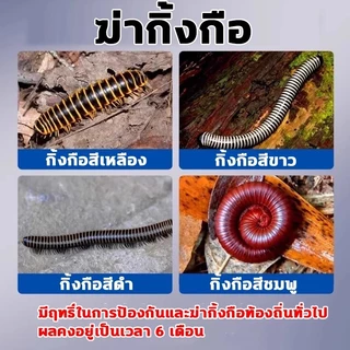 💥ตายทันทีถ้าสัมผัส💥ไล่กิ้งกือ 500g ผงฆ่าแมลงแลำหรับกิ้งกือ ผงกำจัดแมลง ยากำจัดแมลง ไซเพอร์เมทริน