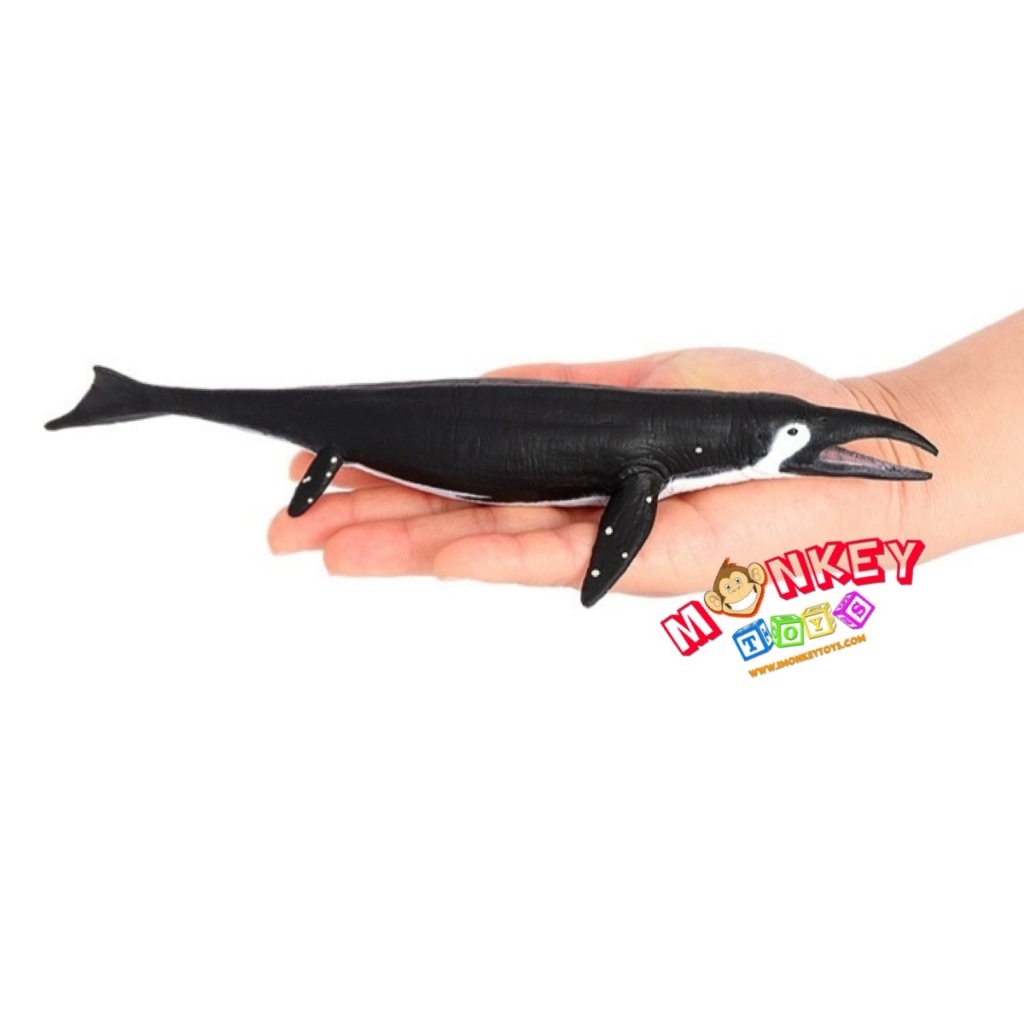 Monkey Toys โมเดล ไดโนเสาร์ Dinosaur Shastasaurus ดำ ขนาด 24.50 CM (จากหาดใหญ่)