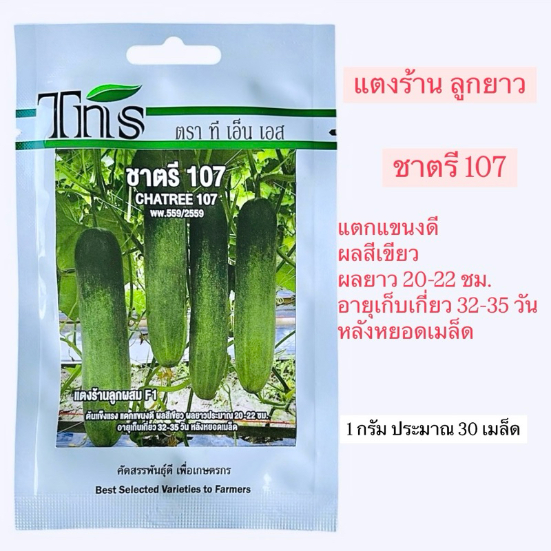 tns แตงร้าน ชาตรี ลูกยาว (1 กรัม ประมาณ 30 เมล็ด)
