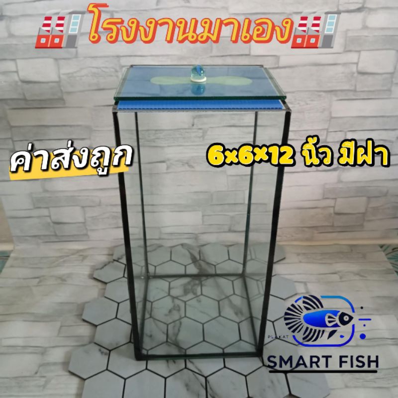 โหลใส่ปลากัดขนาดใหญ่ 6×6×12 นิ้ว มีฝา กาวดำ กระจกหนา 4 มิลลิเมตร
