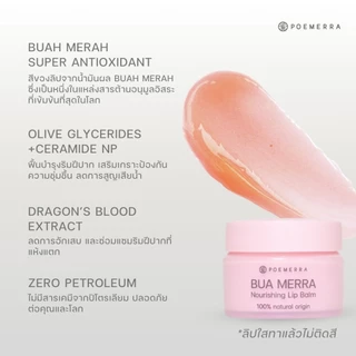 POEMERRA ลิปบาล์ม คุณหนูดี บำรุงริมฝีปาก แห้ง ปากคล้ำ ปากดำ ลิปมัน Lip Balm จากธรรมชาติ ขนาด 8 g. จำนวน 1 กระปุก