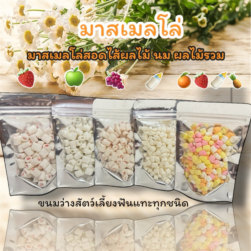 มาสเมลโล่สอดไส้ ผลไม้รวม ผักผลไม้ นม ขนมทานเล่นสำหรับสัตว์เลี้ยงฟันแทะ