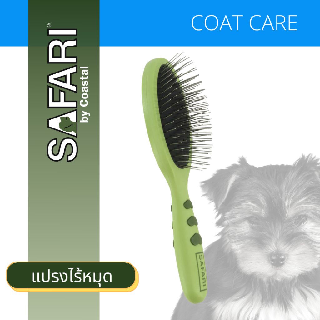 🇺🇸นำเข้าจาก USA🇺🇸 Safari Pin Brush แปรงไม่มีหมุดสุนัข เข็มมน ไม่เจ็บ ทนทาน กันสนิม เกรดช่างกรูมมิ่ง