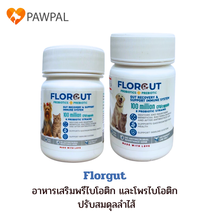 Florgut 30 แคปซูล🔥Exp.2028 อาหารเสริมโปรตีน พรีไบโอติกและโพรไบโอติก ปรับสมดุลลำไส้ สำหรับสุนัขและแมว