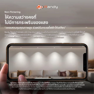[3FREE1] RANDY ไฟดาวน์ไลท์LED ดาวน์ไลท์ติดลอย White&Warm โคมไฟเพดาน Downlight ไฟติดห้อง ไฟเพดาน LEDไฟห้องนอน ประกัน2ปี