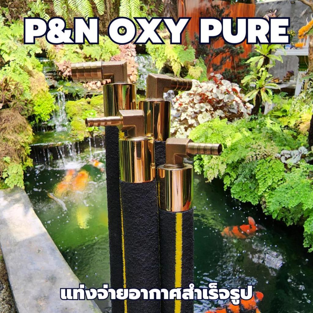 แท่งออกซิเจนบ่อปลาและตู้ปลาเกรด Premium P&N Oxy Pure