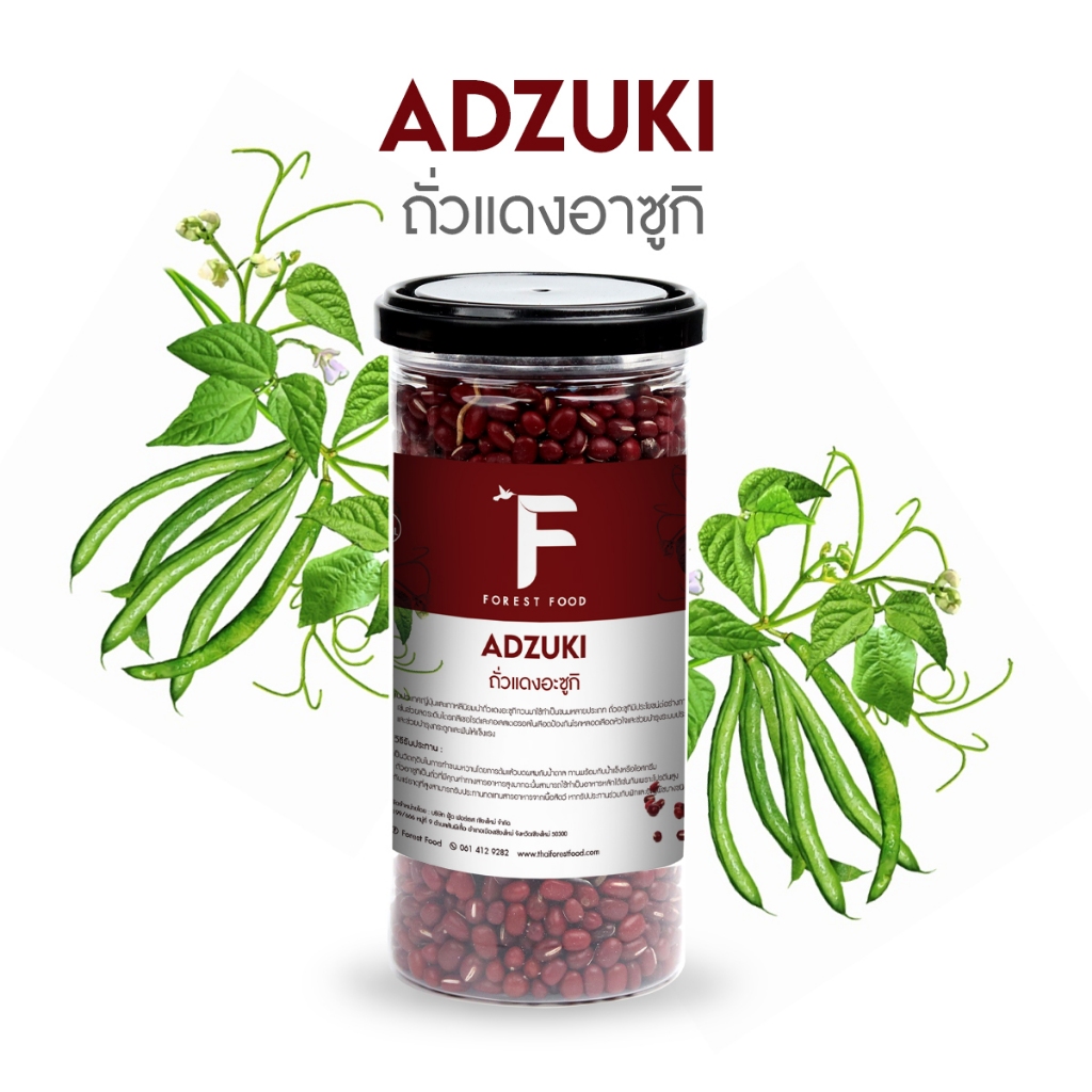 Forest Food : Azuki Bean ถั่วแดงอะซูกิ ถั่วแดง ธัญพืช วัตถุดิบ ใยอาหารสูง