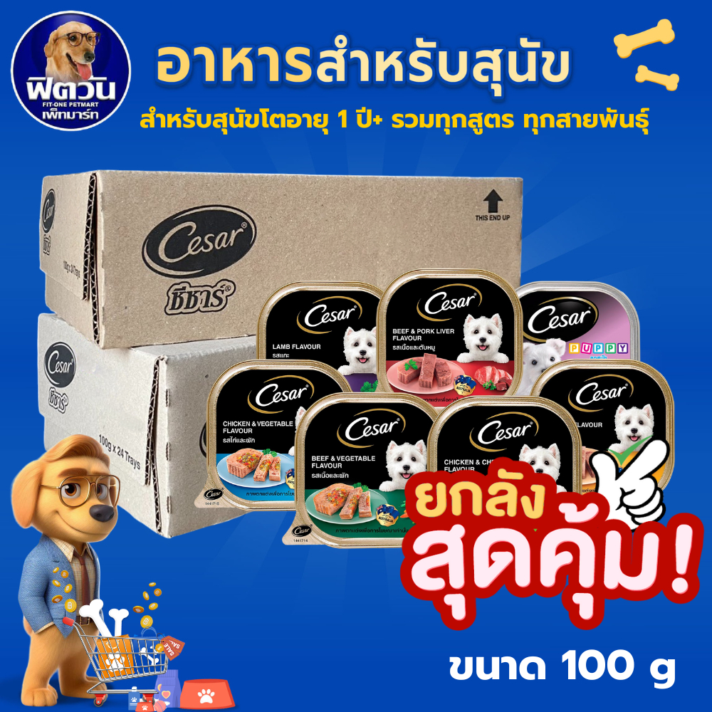 [ยกลัง! x 24]  Cesar ซีซาร์ อาหารเปียกสุนัขชนิดถาด100กรัม สำหรับสุนัขโตทุกสายพันธุ์ รวมสูตรx24ถาด {อาหารเปียกสุนัข}