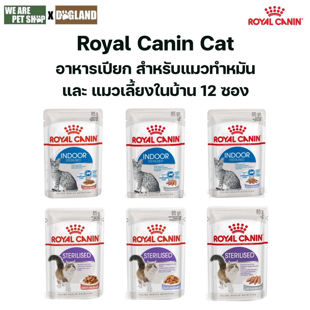 Royal Canin Cat แมวทำหมัน / แมวเลี้ยงในบ้าน อาหารเปียก 12 ซอง