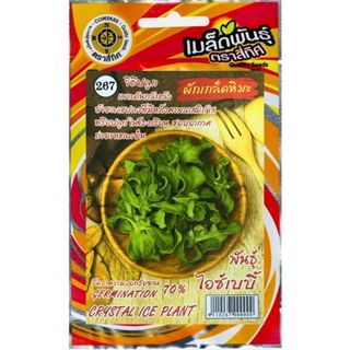 เมล็ดพันธุ์ ผักเกล็ดหิมะ พันธุ์ไอซ์เบบี้ ตราสี่ทิศ