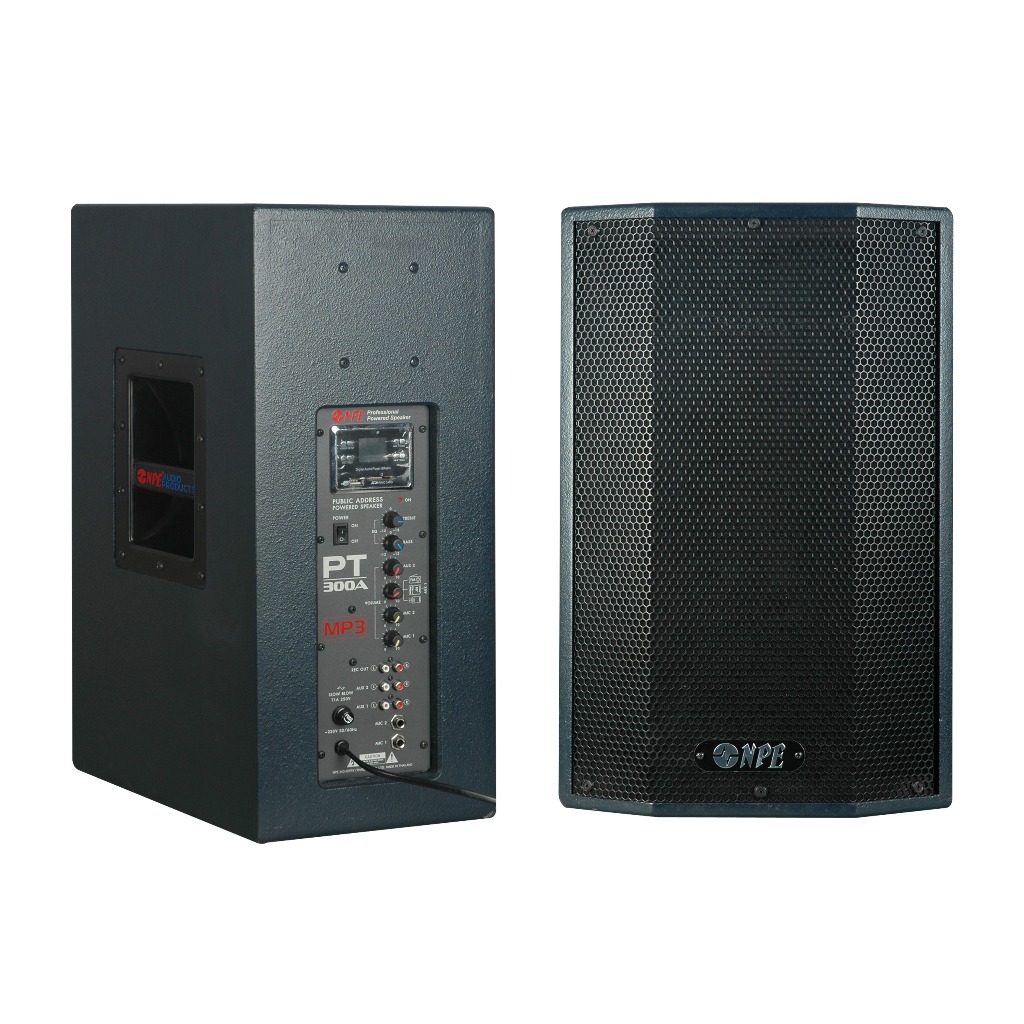 NPE PORTABLE AMPLIFIER PT-300A (MP3)