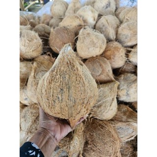 มะพร้าวแก่ มะพร้าวแกง มะพร้าวทำน้ำกะทิ มะพร้าวจากสวน ‼️รบกวน…