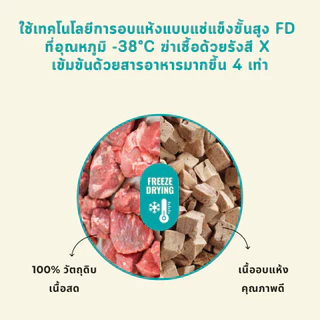 CatHoliday ไบต์ออฟไวด์ ฟรีซดราย Bite of wild Freeze Dried ไม่ปรุงรส โปรตีนสูง ขนาด 40g.