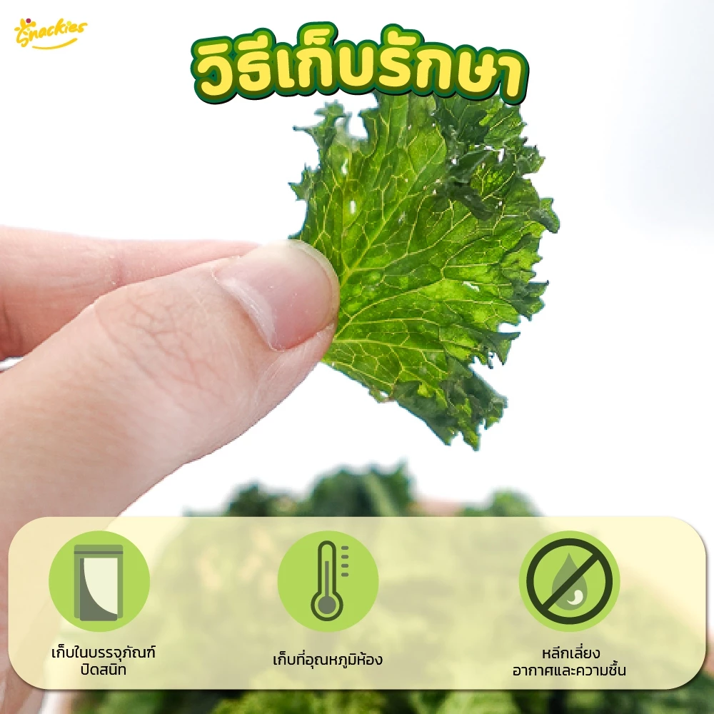 [เคลถัง] ผักเคลอบกรอบ 1 ถัง ออร์แกนิก ไขมันต่ำ ไม่ทอด กรอบ กินเพลิน ไม่รู้สึกผิด ขนม ของกิน snackies thumbnail 5