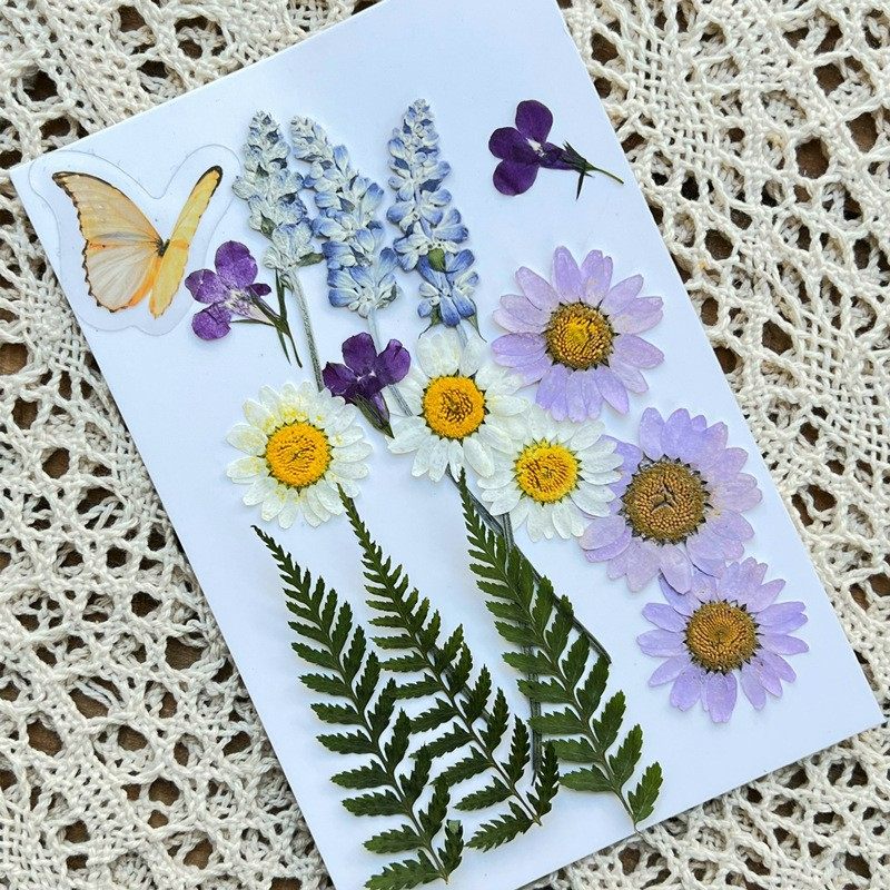 ดอกไม้แห้งdiy #ชุดแครฟท์แต่งห้อง #ของตกแต่งบ้าน #กรอบรูปเทียนหอม #อุปกรณ์แต่งเล็บdiy #วัสดุคราฟท์แฮนด์เมด #ชุดของขวัญ