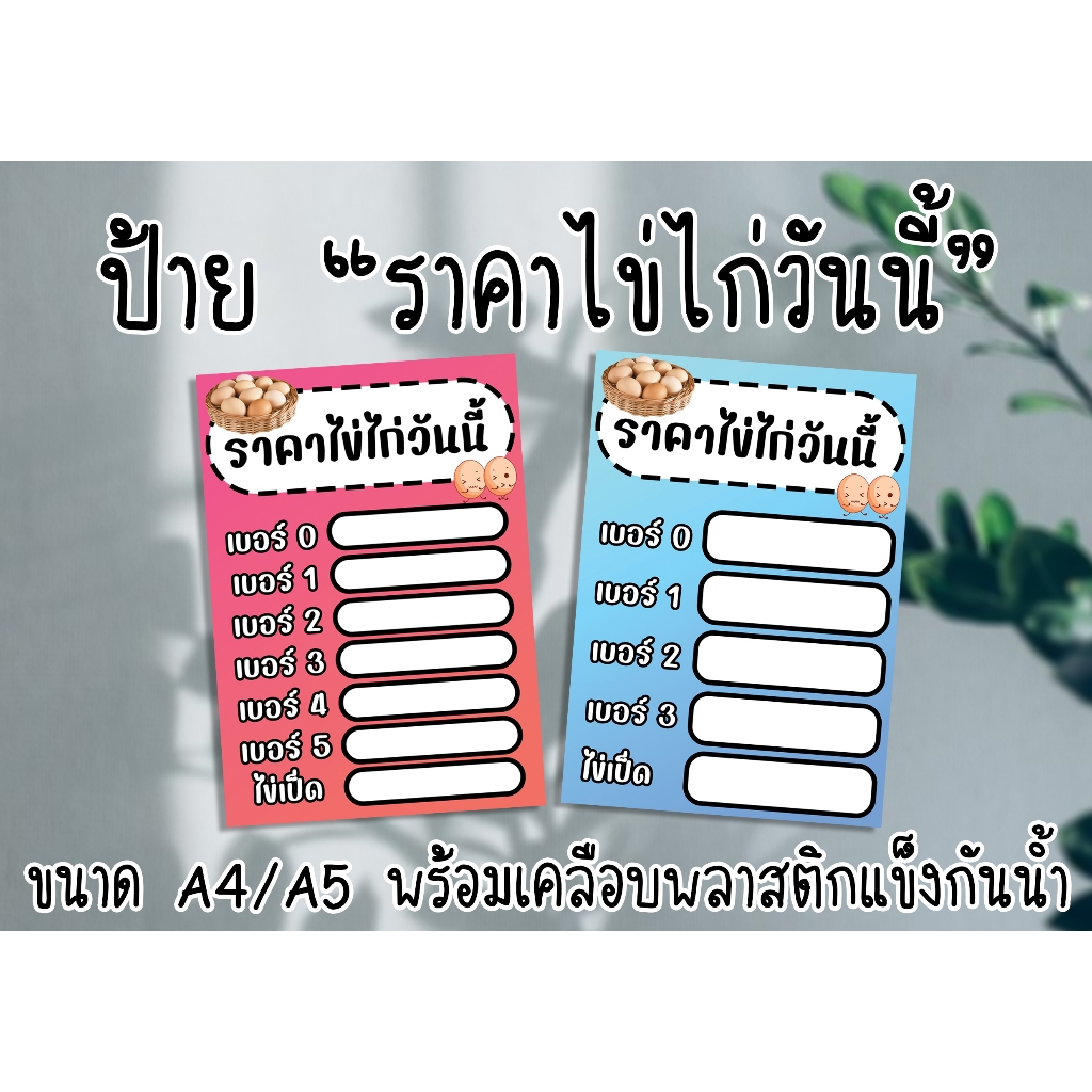 ป้าย ราคาไข่ไก่วันนี้ สามารถเขียนราคาเองได้ ขนาดA4และA5 พร้อมเคลือบแข็งกันน้ำ ส่งไว มีปลายทาง