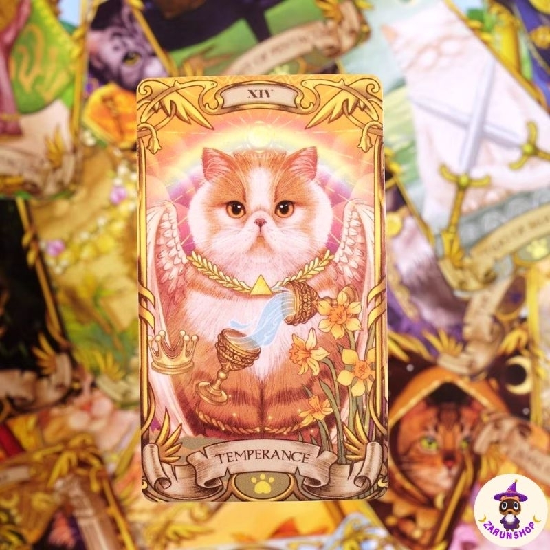 [มาใหม่🌈] ไพ่ยิปซี ไพ่ทาโรต์ (พร้อมส่ง🇹🇭) Nine lives cat tarot น้องแมวสุดแบ๋ว แถมไฟล์คู่มือภาษาไทยฟรี💖🔥