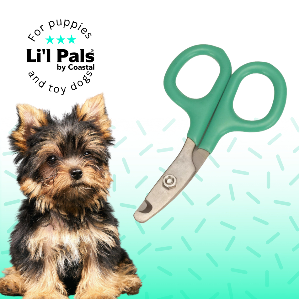 Li'l Pals Nail Trimmer กรรไกรตัดเล็บสุนัขทอย ลูกสุนัข แมว ลูกแมว น้ำหนักเบา มีดคมนาน ตัดง่าย