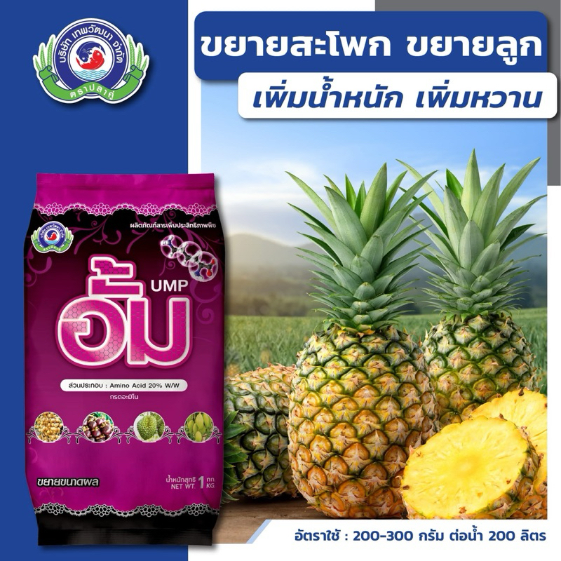 ปุ๋ยขยายผล แตงโม สับปะรด ทุเรียน มะม่วง // อั้ม ขนาด 1  กิโลกรัม