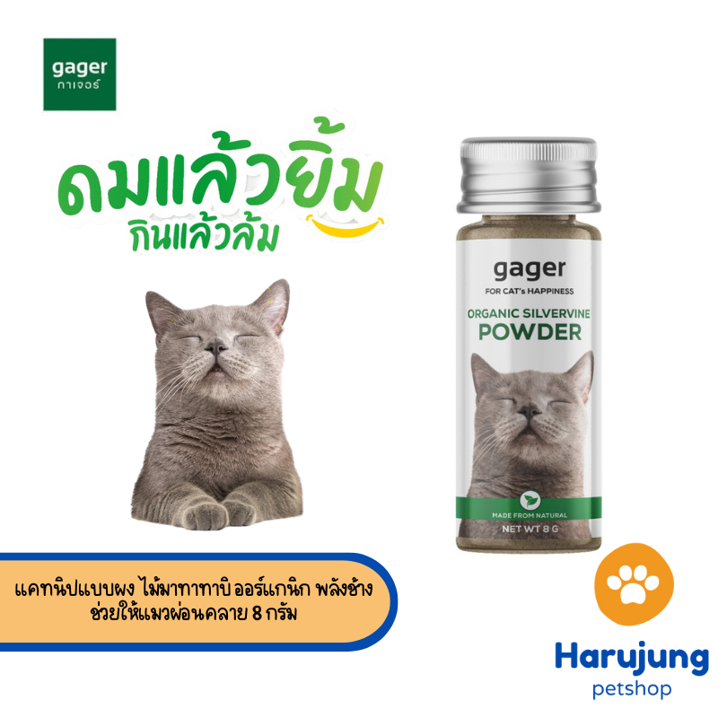 Gager แคทนิปแบบผงสำหรับแมว แคทนิปแบบผง ไม้มาทาทาบิ ออร์แกนิก พลังช้าง ช่วยให้แมวผ่อนคลาย (กาเจอร์)  