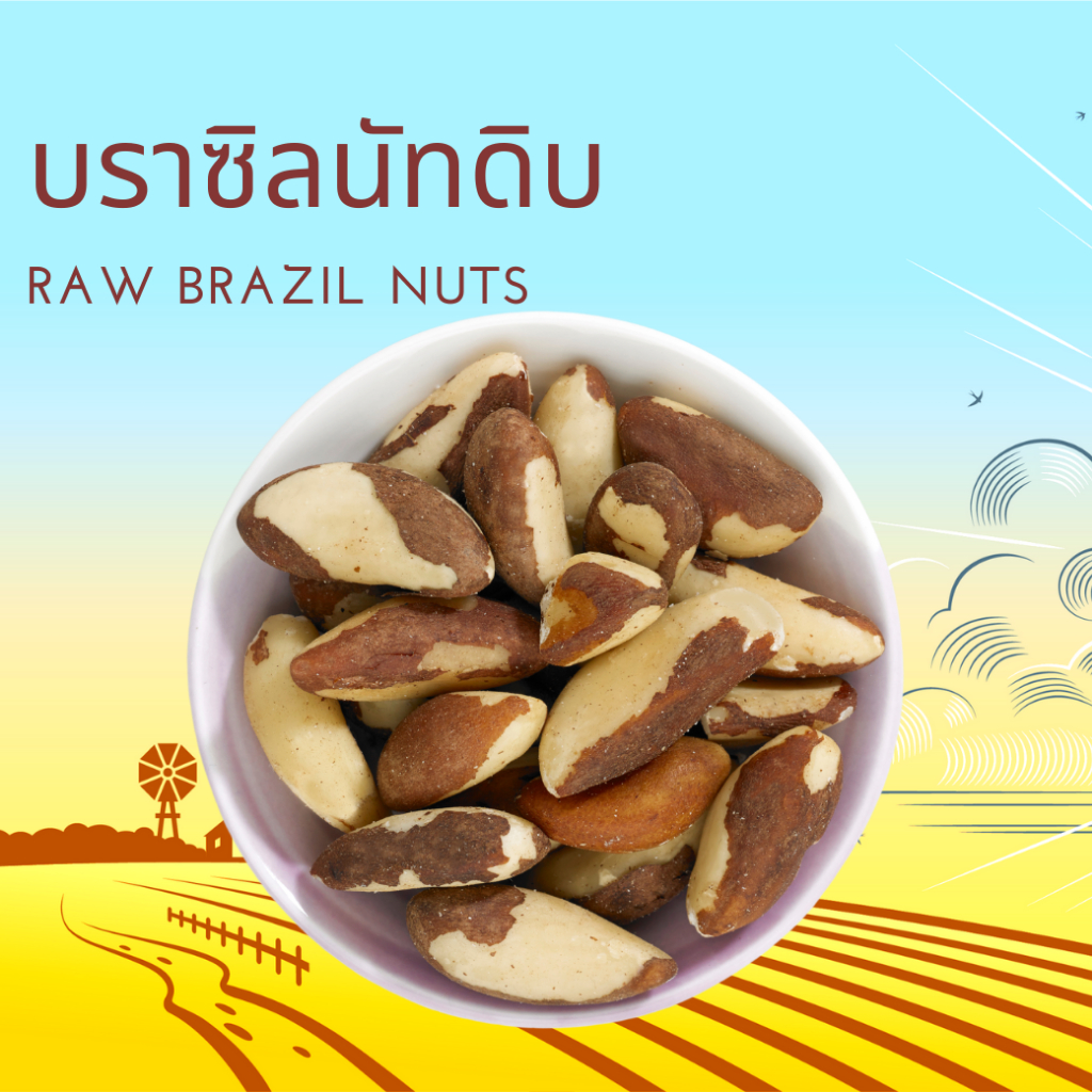 บราซิลนัทดิบ เต็มเม็ด ขนาด 250 กรัม/ 500 กรัม / 1000 กรัม Raw Brazil Nuts 250 g/ 500 g/ 1000 g
