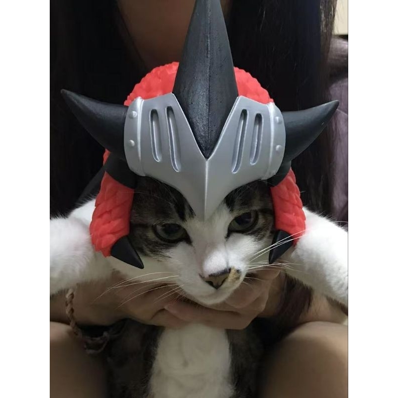 หมวกแมว หน้ากากแมว monster hunter
