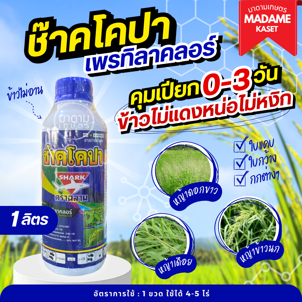 ใหม่! ช๊าคโคปา (เพรทิลาคลอร์) คุมเลน คุมเปียก คุมวัชพืช 0-3 วัน รับประกันข้าวไม่แดง หน่อไม่หงิก 1 ลิตร