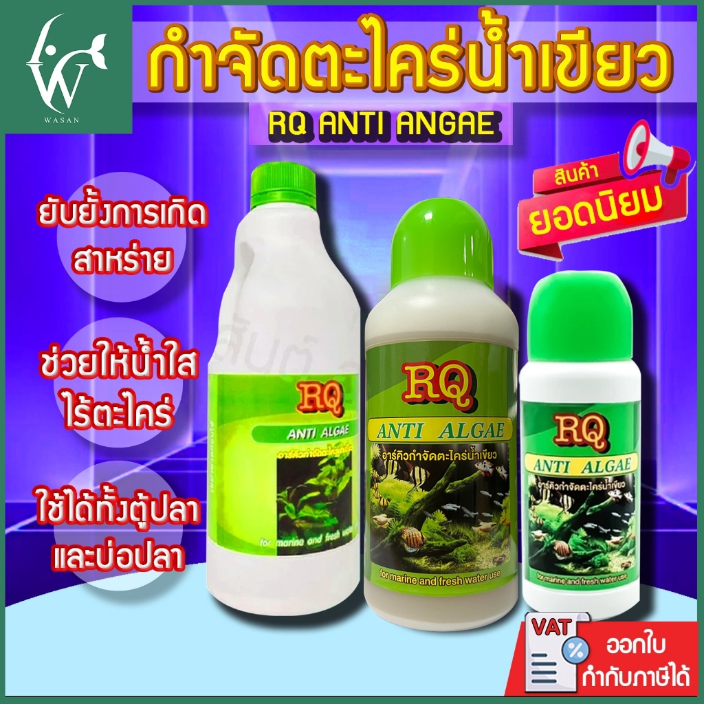 กำจัดตะไคร่น้ำเขียว RQ ANTI ALGAE BY วสันต์อุปกรณ์ปลาสวยงาม