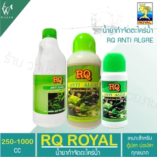 กำจัดตะไคร่น้ำเขียว RQ ANTI ALGAE BY วสันต์อุปกรณ์ปลาสวยงาม