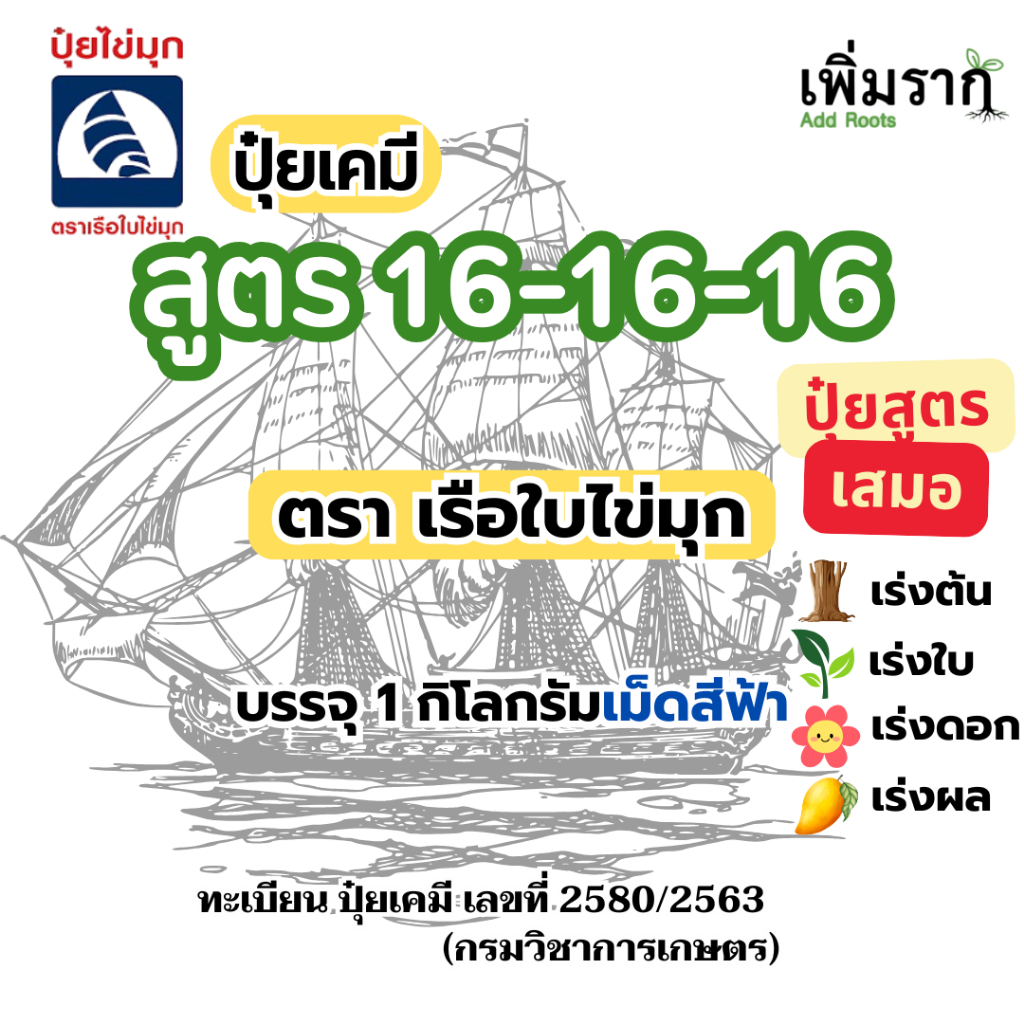 ปุ๋ย 16-16-16 เรือใบไข่มุก N-P-K เท่ากัน เหมาะกับทุกช่วงการเจริญเติบโตของพืช ใช้ง่ายกว่าสูตรเฉพาะทาง