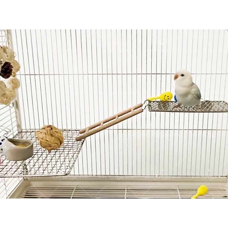 ที่ยืนนกแก้ว แพลตฟอร์มโลหะ สแตนเลสสวมใส่สถานีนก นกแก้วตาข่ายเหล็กแพลตฟอร์ม ของเล่นแพลตฟอร์มสําหรับสั - รูปที่ 4