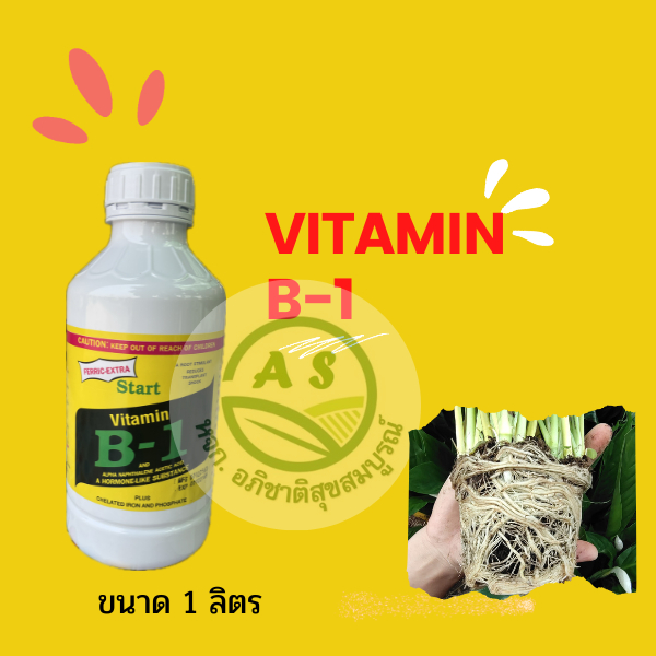 น้ำยาเร่งราก B1 ฮอร์โมนเร่งราก สารอาหารวิตามินบี 1 ของแท้ ปุ๋ยน้ำ [3-066]