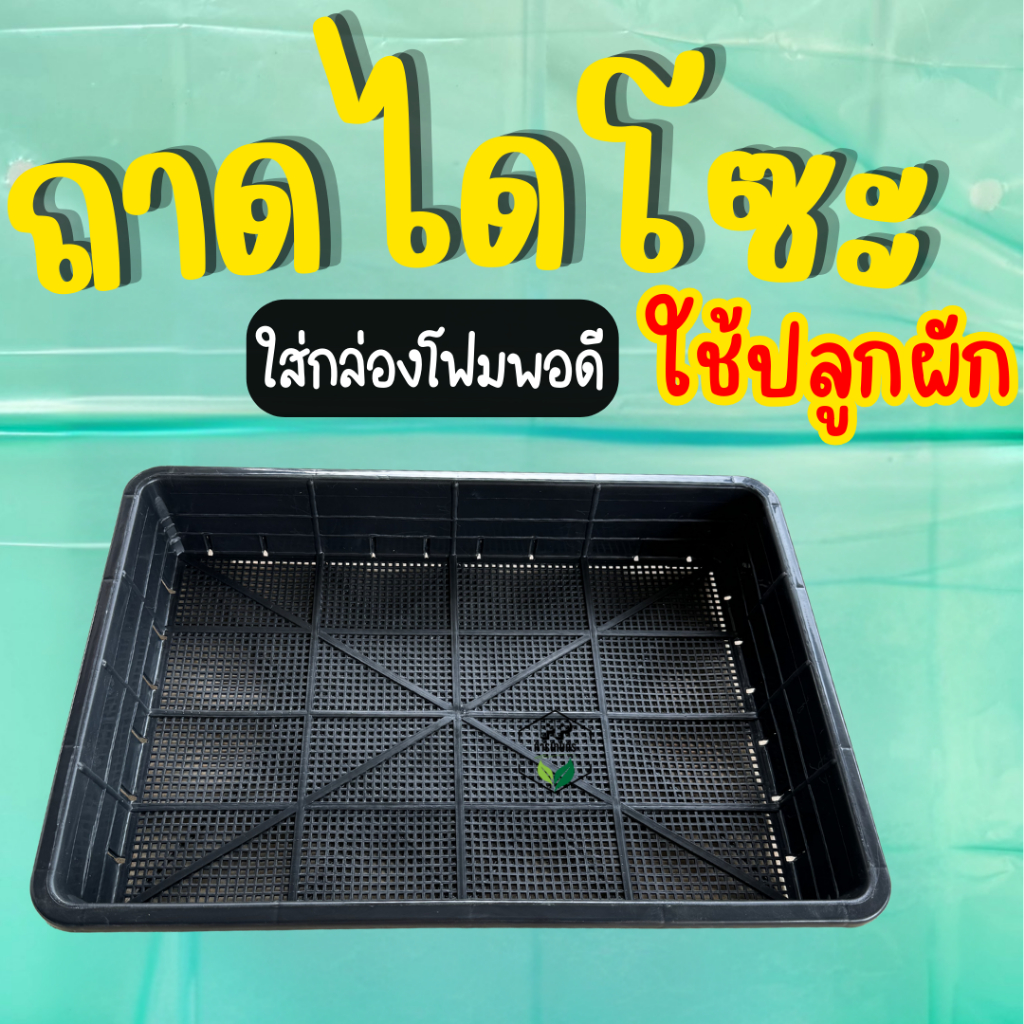 ตะแกรงปลูกผัก ถาดไดโซะ ถาดปลูกผักไฮโดรโปนิกส์ (**ใส่กล่องโฟมได้พอดี**)