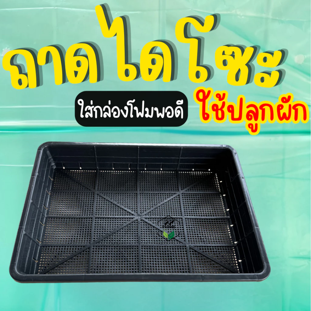 ตะแกรงปลูกผัก ถาดไดโซะ ถาดปลูกผักไฮโดรโปนิกส์ (**ใส่กล่องโฟมได้พอดี**)