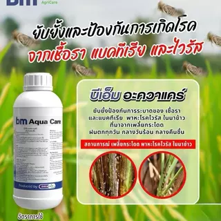 บีเอ็ม อควาแคร์ ขนาด1ลิตร มี GMP รับรอง สารหยุดเชื้อรา แบคทีเรีย ไวรัส ในนาข้าว ในผัก สวน ในไม้ผล ในไร่ ใช้ได้ทุกชนิด