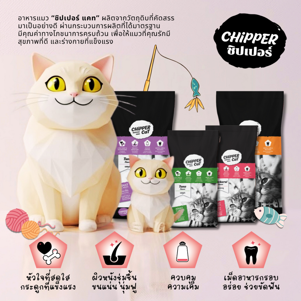 ชิปเปอร์ แคท (10กก) CHIPPER CAT อาหารแมวโต คุ้มค่า คุ้มราคา