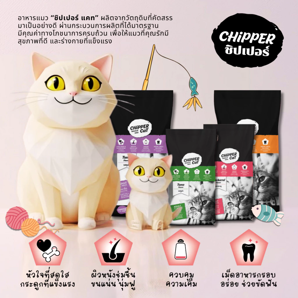 ชิปเปอร์ แคท (10กก) CHIPPER CAT อาหารแมวโต คุ้มค่า คุ้มราคา