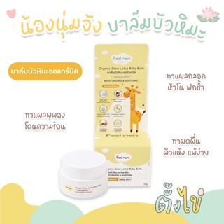 [ตั้งไข่] 